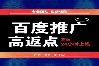 成功案例：sem竞价托管的智慧与策略